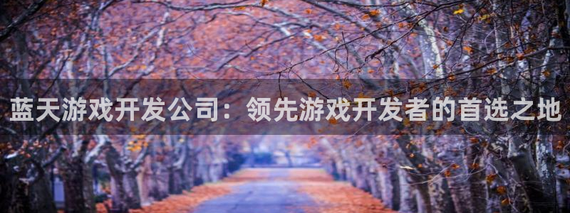 蓝天游戏开发公司：领先游戏开发者的首选之
