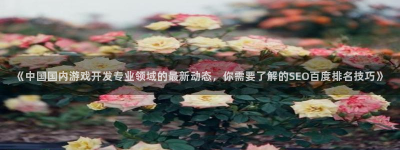 《中国国内游戏开发专业领域的最新动态，你