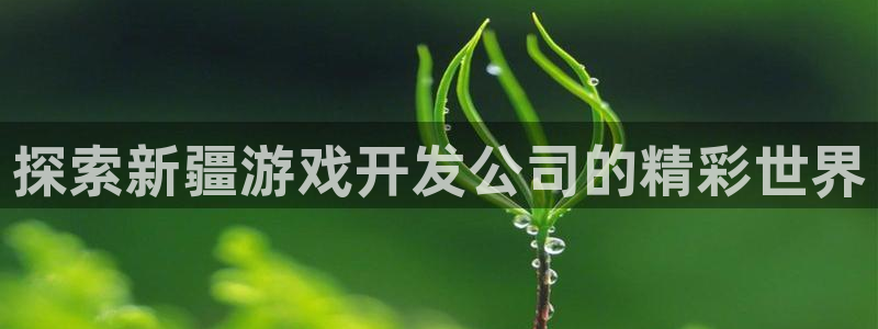 探索新疆游戏开发公司的精彩世界