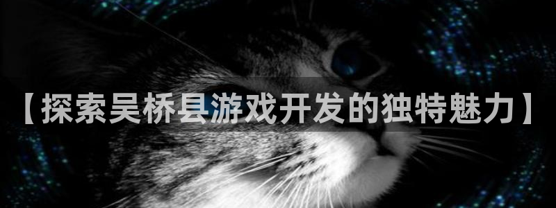 【探索吴桥县游戏开发的独特魅力】