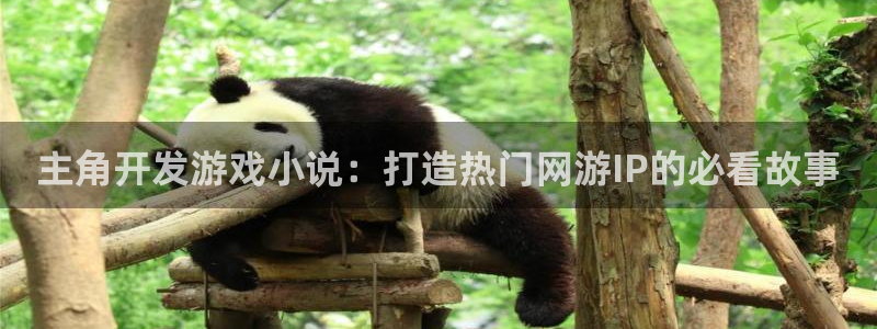 沐鸣1登陆：主角开发游戏小说：打造热门网