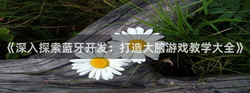 沐鸣app：《深入探索蓝牙开发：打造大脑