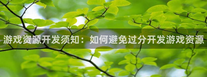 沐鸣注册测速：游戏资源开发须知：如何避免