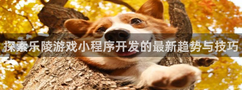 沐鸣娱乐官方网站首页
