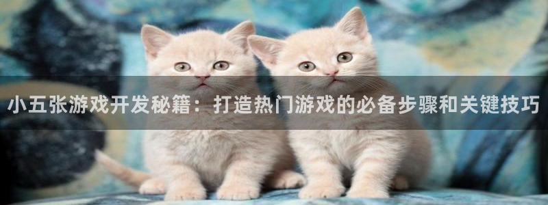沐鸣注册：小五张游戏开发秘籍：打造热门游