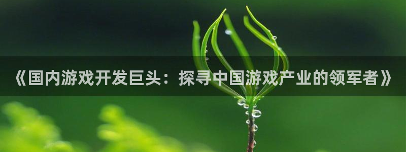 沐鸣科技和沐瞳科技哪个好：《国内游戏开发