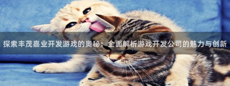 沐鸣平台代理注册多少钱一年啊：探索丰茂嘉