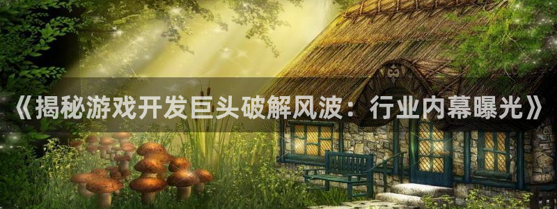 沐鸣娱乐平台反点：《揭秘游戏开发巨头破解