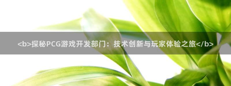 沐鸣账号注册：<b>探秘PCG游戏开发部