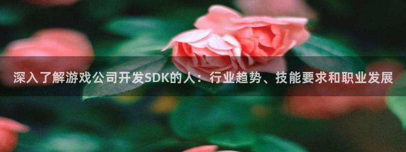 沐鸣娱乐平台大不大呀：深入了解游戏公司开