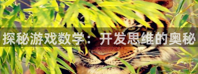 沐鸣科技有限公司电话：探秘游戏数学：开发