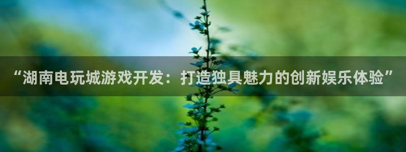 沐鸣平台官网登录：“湖南电玩城游戏开发：