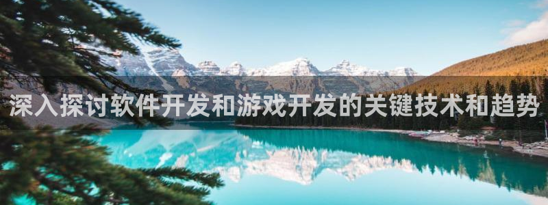 沐鸣娱乐是国外的吗：深入探讨软件开发和游