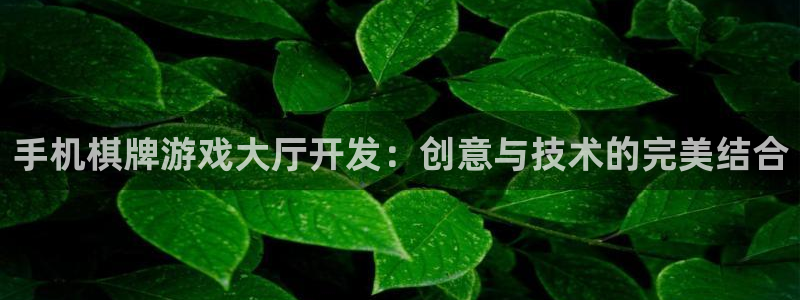 沐鸣1登录：手机棋牌游戏大厅开发：创意与
