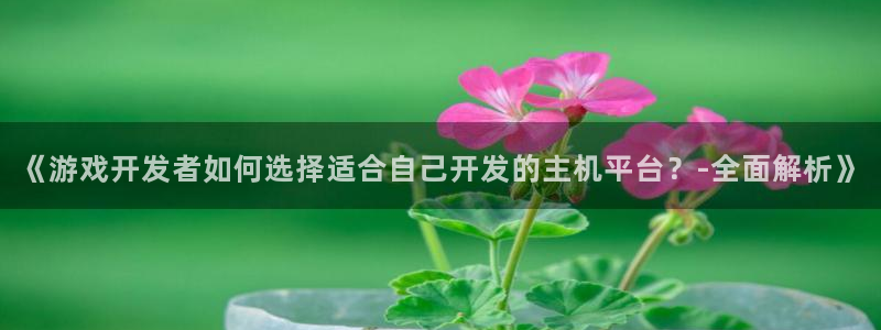 沐鸣科技游戏：《游戏开发者如何选择适合自