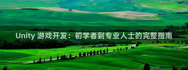 沐鸣文化传媒有限公司：Unity 游戏开