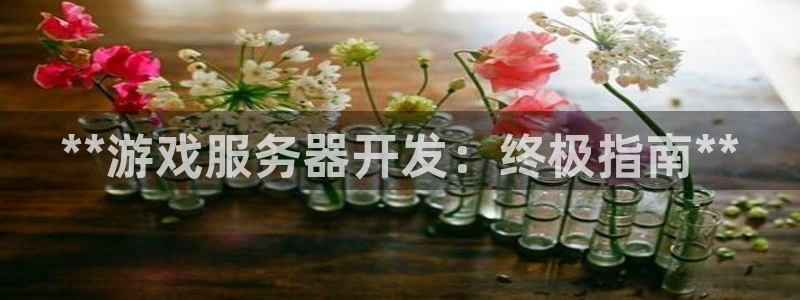 沐鸣平台登陆线路：**游戏服务器开发：终