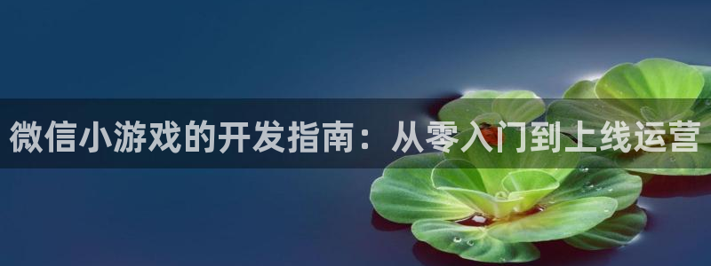 沐鸣娱乐llapp下载：微信小游戏的开发