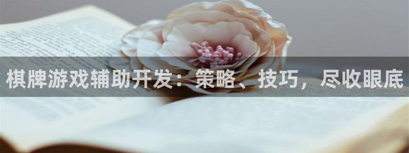 沐鸣娱乐测速：棋牌游戏辅助开发：策略、技
