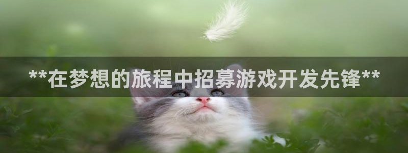 沐鸣娱乐官方网站首页：**在梦想的旅程中