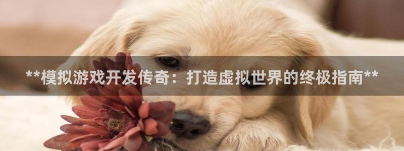 沐鸣娱乐怎么注册：**模拟游戏开发传奇：