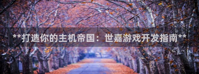 沐鸣代理注册：**打造你的主机帝国：世嘉