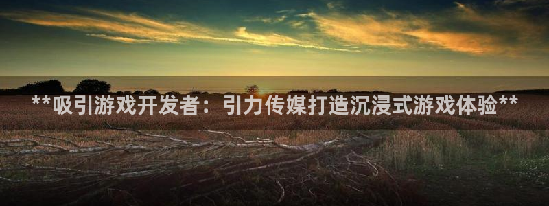 沐鸣娱乐官方平台下载：**吸引游戏开发者