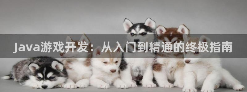 沐鸣娱乐账号怎么注册：Java游戏开发：