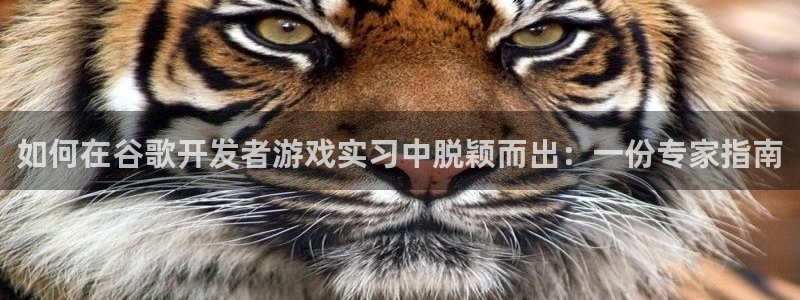 沐鸣科技业务：如何在谷歌开发者游戏实习中