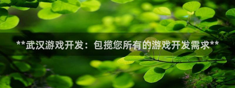 沐鸣科技有哪些产品卖：**武汉游戏开发：