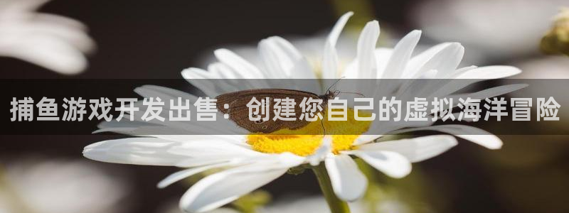 沐鸣科技有哪些产品可以买：捕鱼游戏开发出