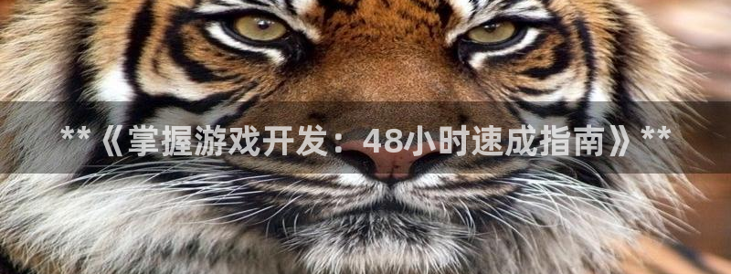 沐鸣娱乐官方网站入口：**《掌握游戏开发