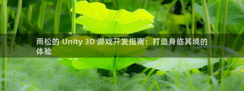 沐鸣娱乐害人：雨松的 Unity 3D 