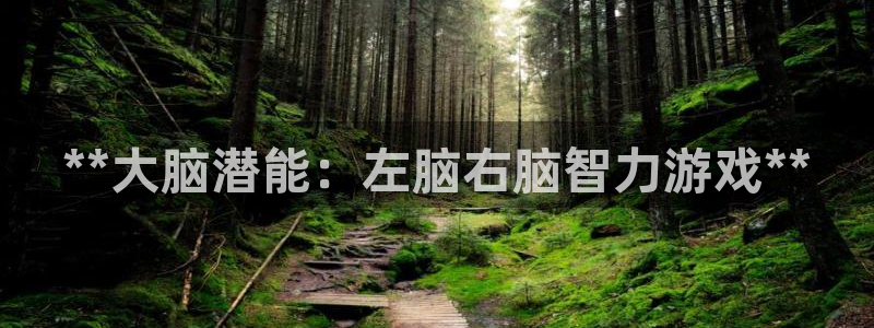 沐鸣官网注册：**大脑潜能：左脑右脑智力