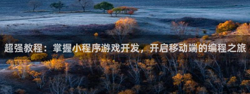 沐鸣娱乐是真的吗：超强教程：掌握小程序游