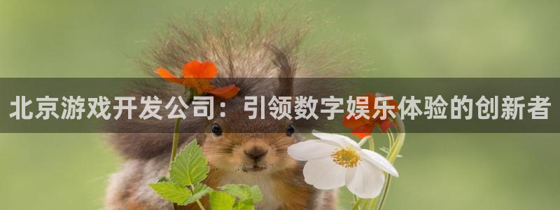 沐鸣4注册：北京游戏开发公司：引领数字娱