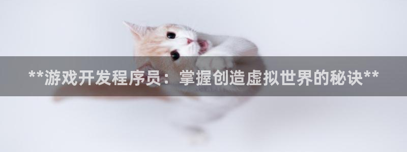 沐鸣娱乐1登录：**游戏开发程序员：掌握