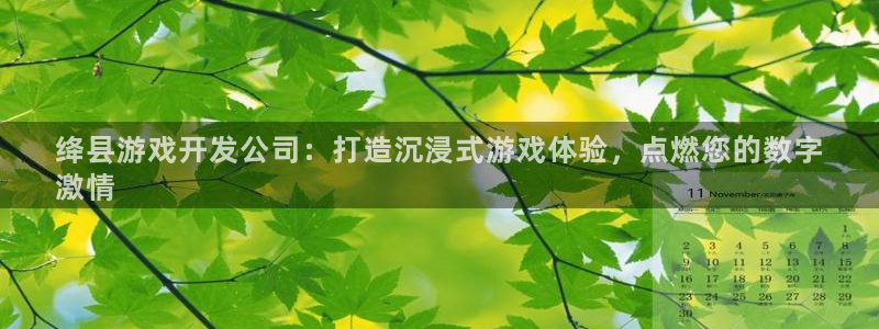 沐鸣代理：绛县游戏开发公司：打造沉浸式游