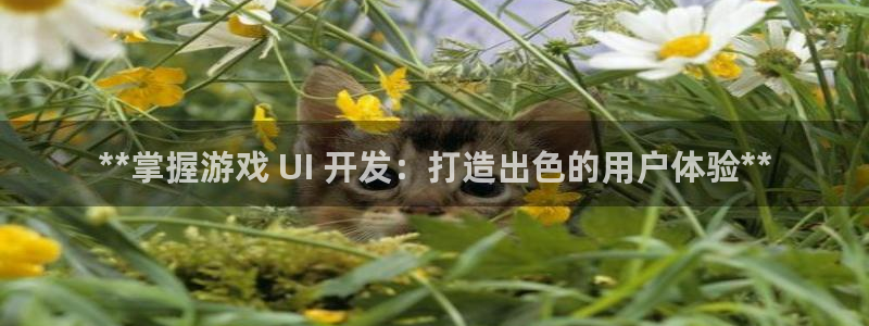 沐鸣娱乐客服：**掌握游戏 UI 开发：