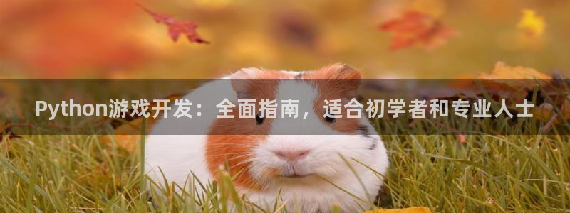 沐鸣科技有限公司电话：Python游戏开