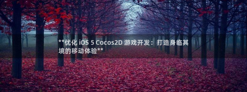 沐鸣代理登陆：**优化 iOS 5 Co