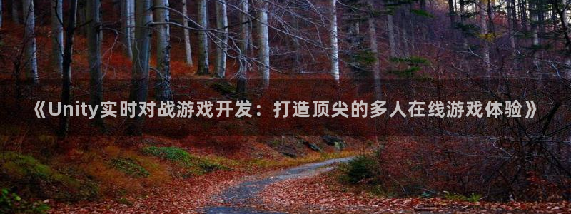 沐鸣娱乐怎么赚钱：《Unity实时对战游