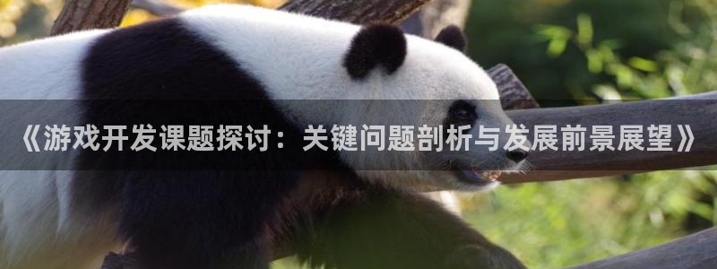 沐鸣4主管：《游戏开发课题探讨：关键问题