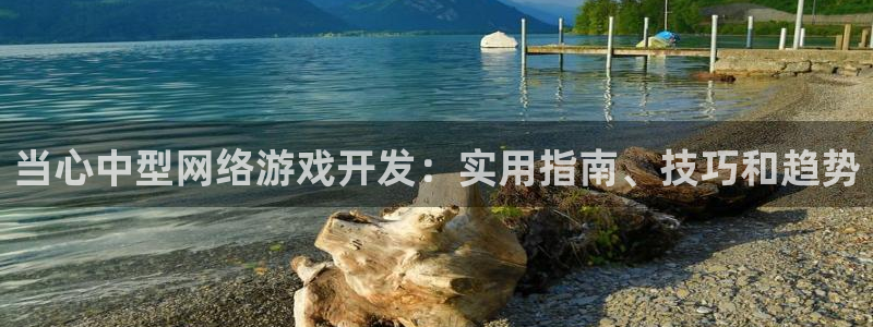 沐鸣娱乐ⅱ：当心中型网络游戏开发：实用指