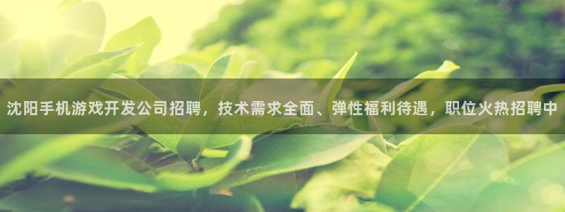 沐鸣娱乐怎么注册会员：沈阳手机游戏开发公