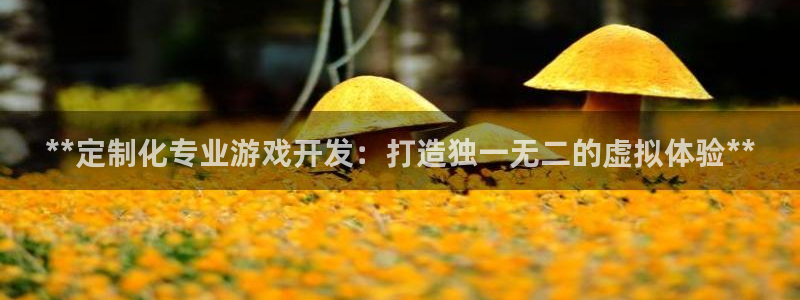 沐鸣注册网站是什么：**定制化专业游戏开