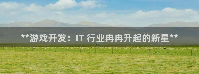 沐鸣注册网站是什么：**游戏开发：IT 
