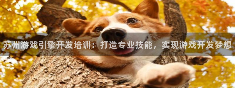 沐鸣娱乐平台登录入口下载安装：苏州游戏引