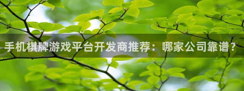 沐鸣科技有哪些产品：手机棋牌游戏平台开发