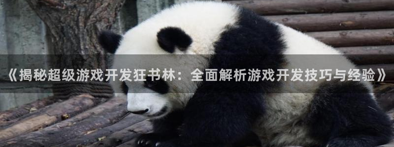 沐鸣娱乐注册平台怎么样：《揭秘超级游戏开